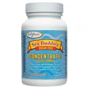 Sea Buddies Concentrate!